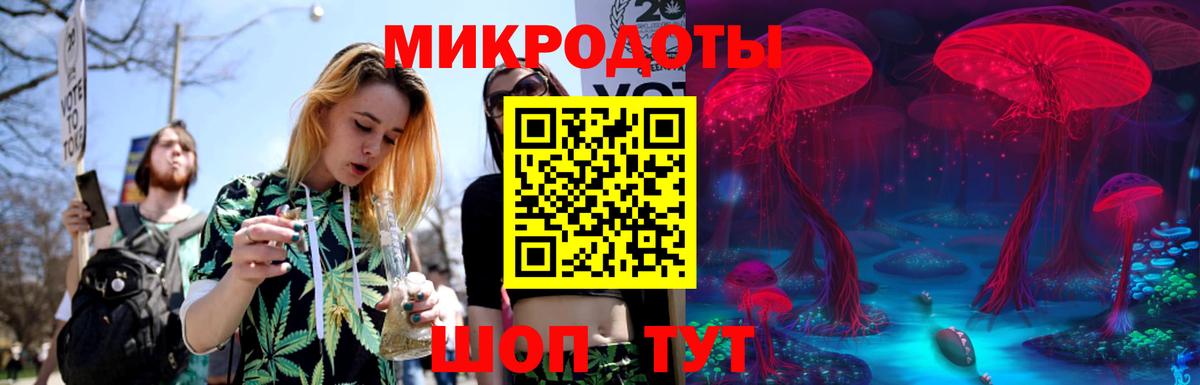 где купить   Вход с VPN  Кохма  Псилоцибиновые грибы Psilocybine cubensis 